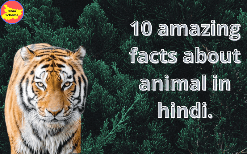 10 amazing facts about animal in hindi