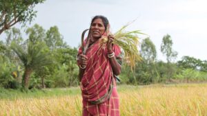 PM Dhan Dhaanya Krishi Yojana 2025