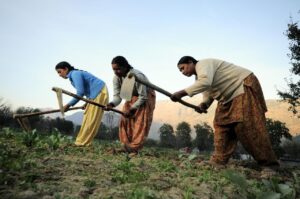 PM Dhan Dhaanya Krishi Yojana 2025